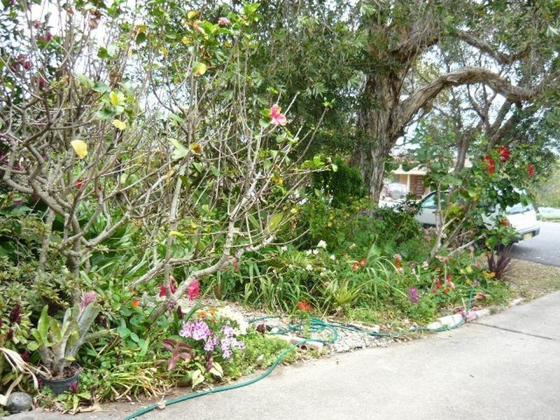 52 Wallace Street, Scotts Head NSW 2447