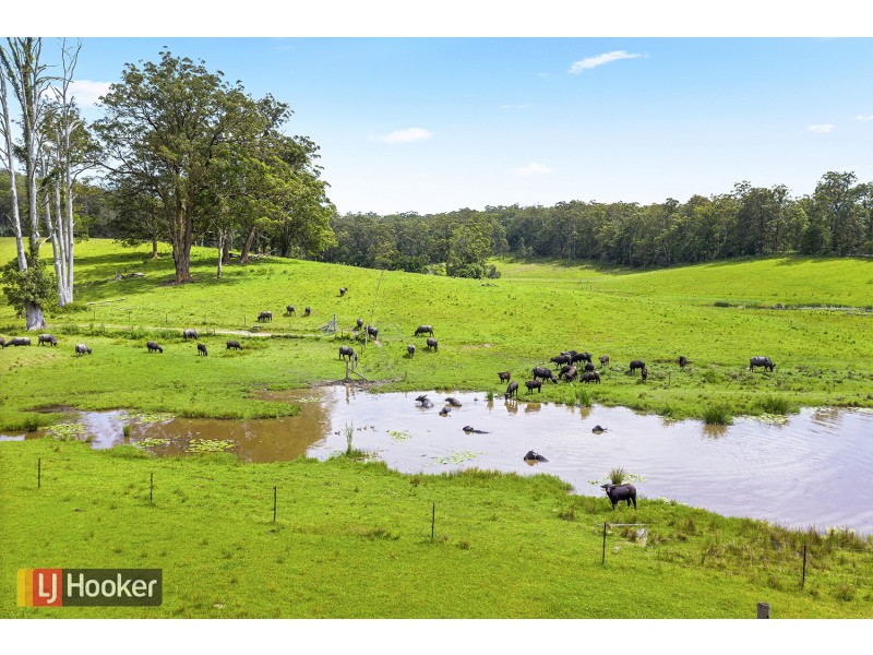 50 Elliots Road, Eungai Creek NSW 2441