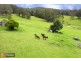 50 Elliots Road, Eungai Creek NSW 2441