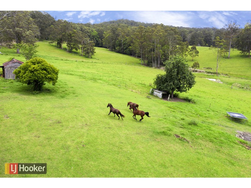 50 Elliots Road, Eungai Creek NSW 2441