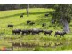 50 Elliots Road, Eungai Creek NSW 2441