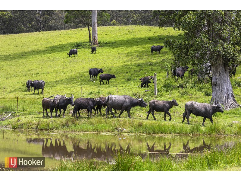 50 Elliots Road, Eungai Creek NSW 2441
