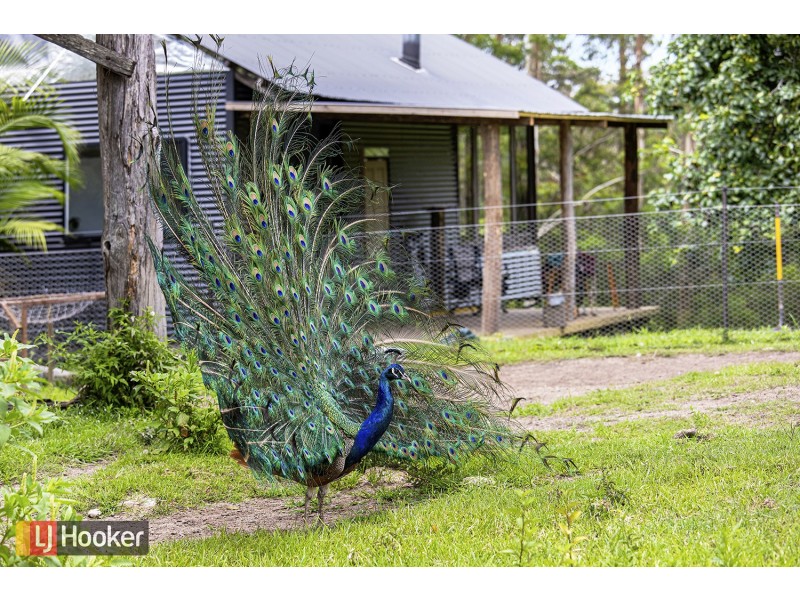 50 Elliots Road, Eungai Creek NSW 2441