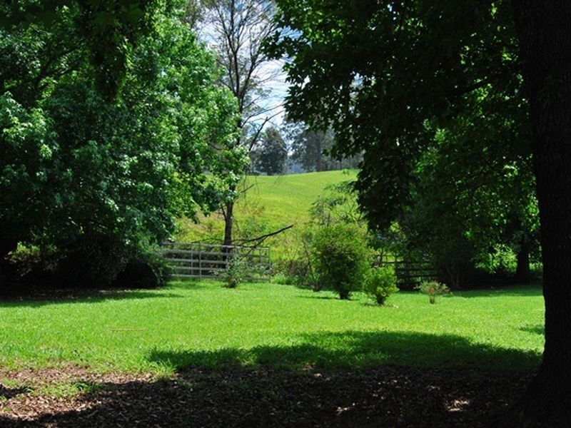 538 Missabotti rd, Missabotti NSW 2449