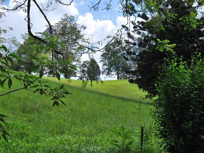 538 Missabotti rd, Missabotti NSW 2449