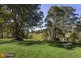 941 Taylors Arm Road, Utungun NSW 2447