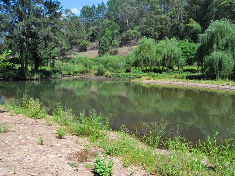 1073 South Arm Road, South Arm NSW 2449