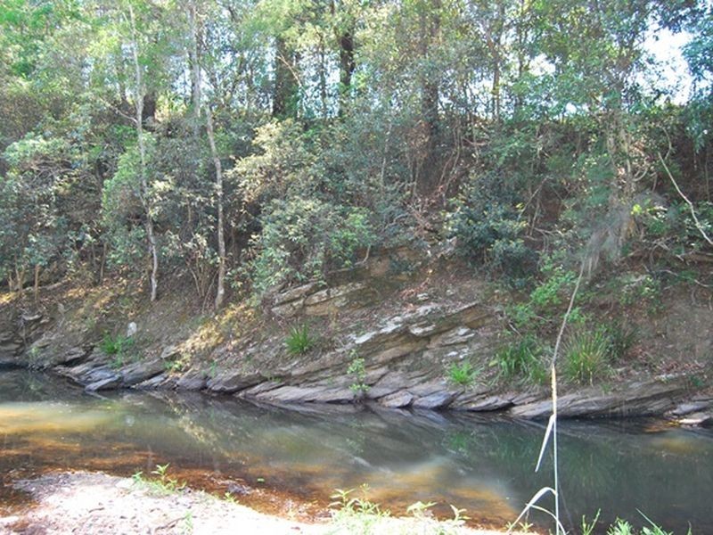 1073 South Arm Road, South Arm NSW 2449