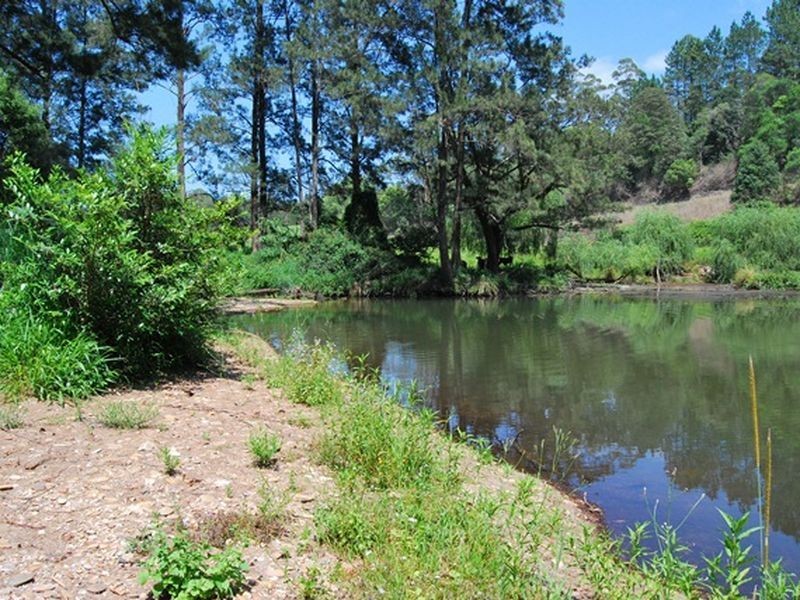 1073 South Arm Road, South Arm NSW 2449