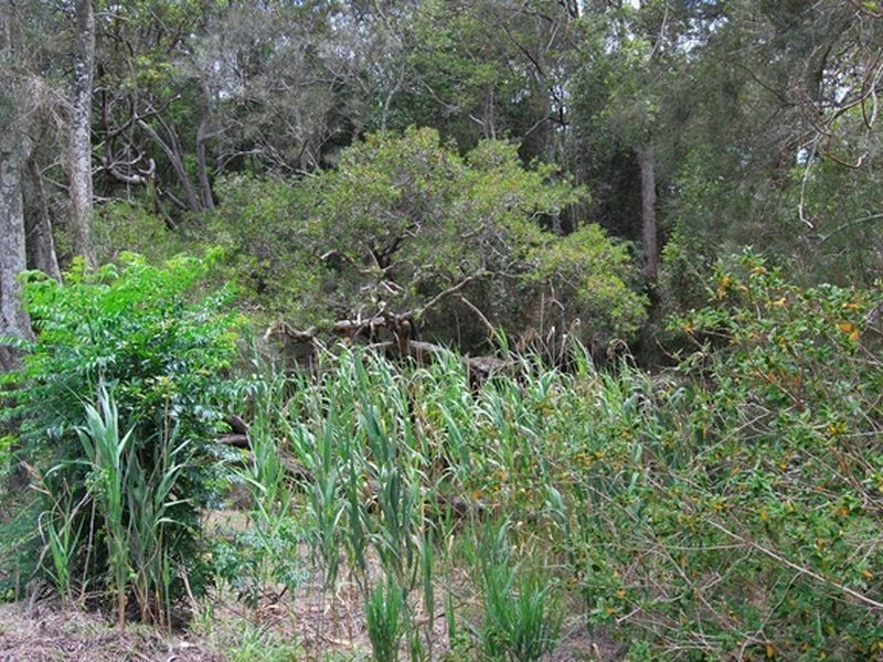 16 Swimming Creek Road, Nambucca Heads NSW 2448