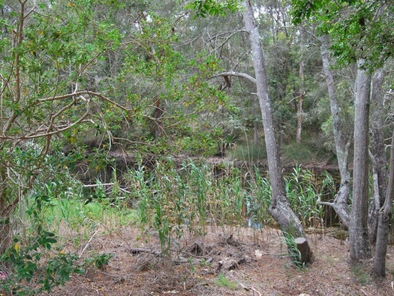 16 Swimming Creek Road, Nambucca Heads NSW 2448