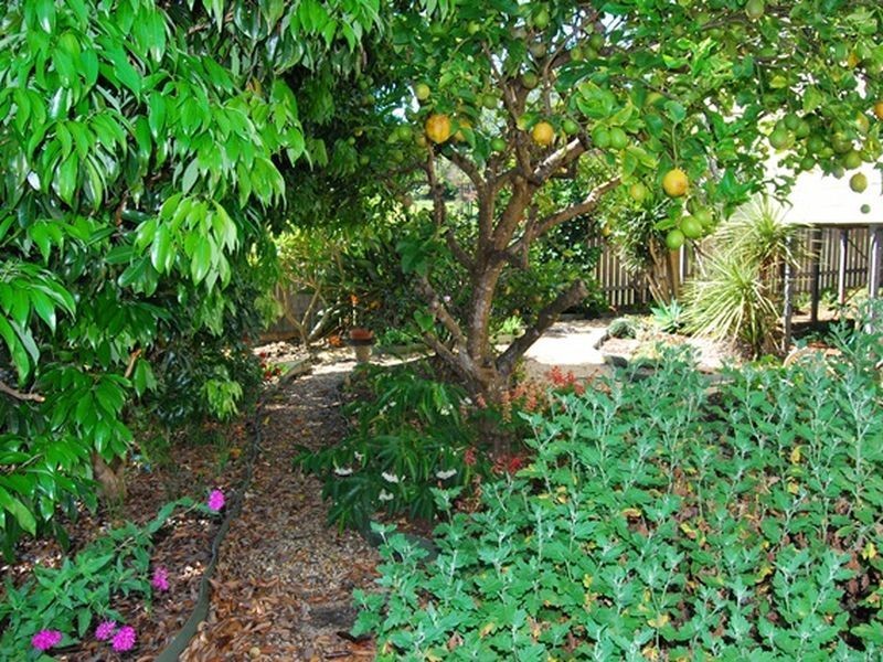 16 Max Graham Drive, Valla Beach NSW 2448