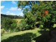 356 Browns Crossing Road, Eungai Creek NSW 2441