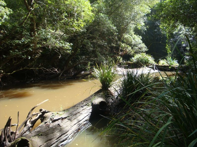 356 Browns Crossing Road, Eungai Creek NSW 2441
