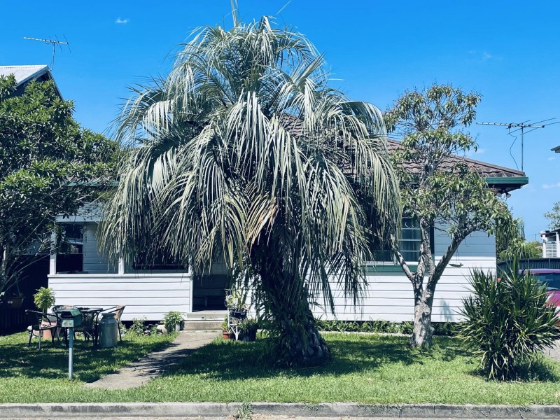 7 East Street, Macksville NSW 2447