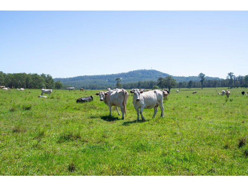 289 Featherstones Road, Upper Corindi NSW 2456