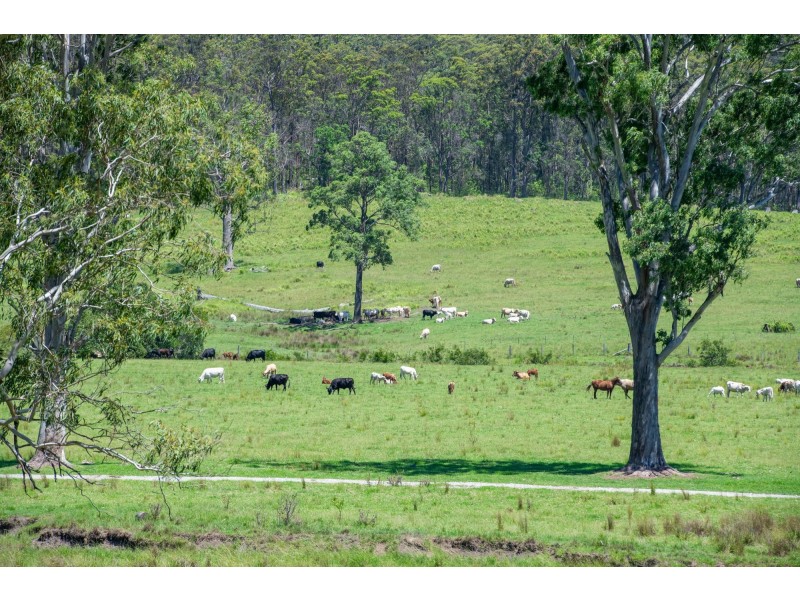 289 Featherstones Road, Upper Corindi NSW 2456