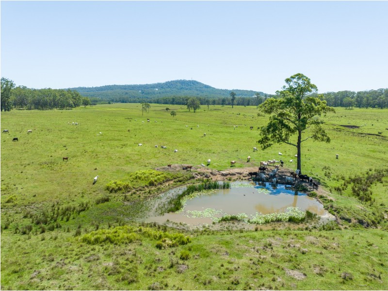 289 Featherstones Road, Upper Corindi NSW 2456