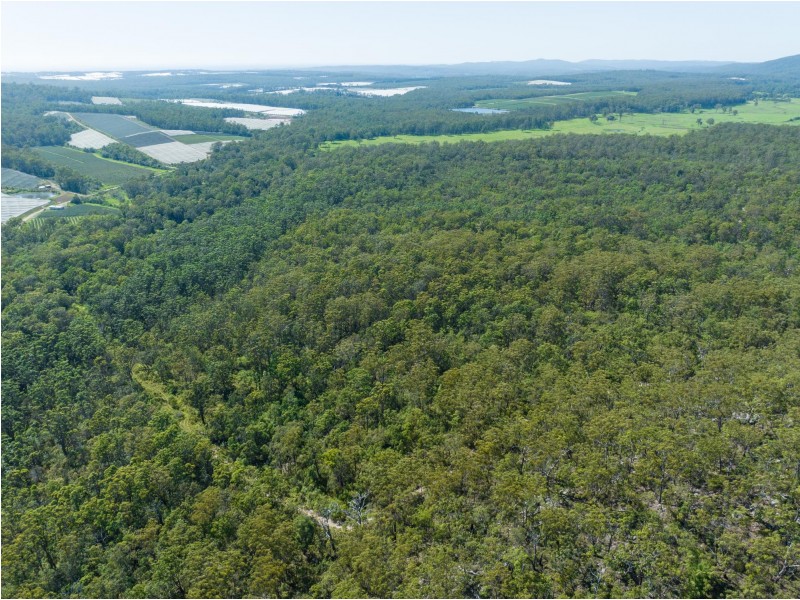 289 Featherstones Road, Upper Corindi NSW 2456