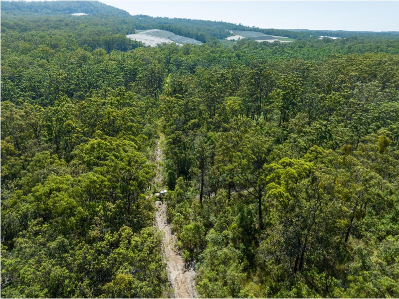 289 Featherstones Road, Upper Corindi NSW 2456