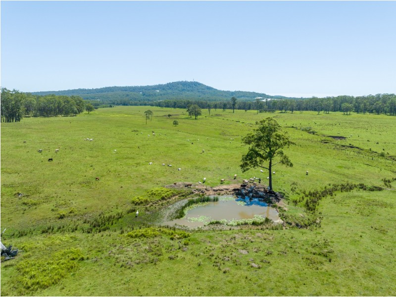 289 Featherstones Road, Upper Corindi NSW 2456