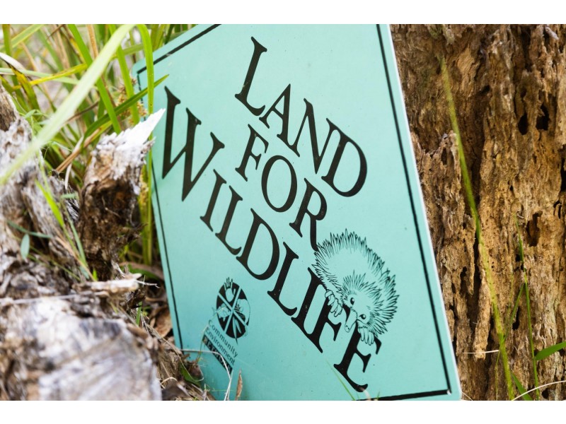 140 Browns Road, Yarrahapinni NSW 2441