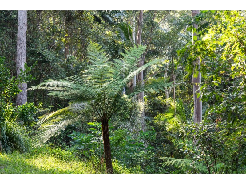 140 Browns Road, Yarrahapinni NSW 2441