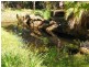 513 Sullivans Road, Valla NSW 2448