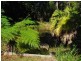 513 Sullivans Road, Valla NSW 2448