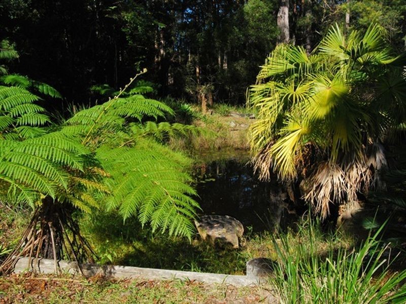 513 Sullivans Road, Valla NSW 2448