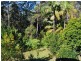 513 Sullivans Road, Valla NSW 2448