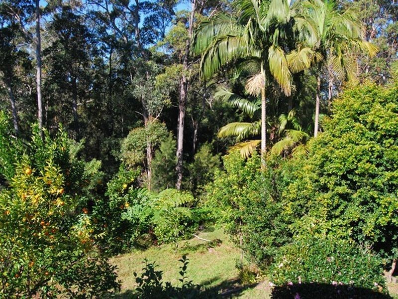 513 Sullivans Road, Valla NSW 2448