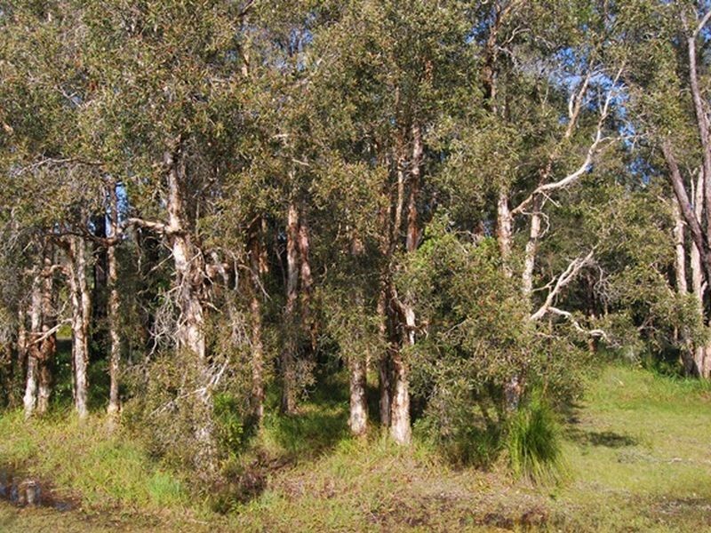 6/2 Rutland Street, Nambucca Heads NSW 2448