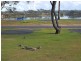 Y3 White Albatross Park, Nambucca Heads NSW 2448