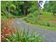 88 Gleniffer Road, Bellingen NSW 2454