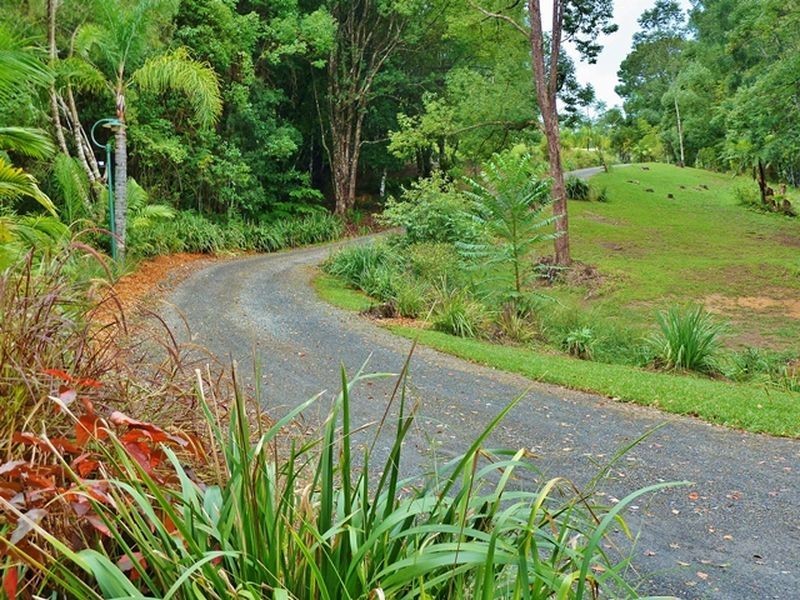 88 Gleniffer Road, Bellingen NSW 2454
