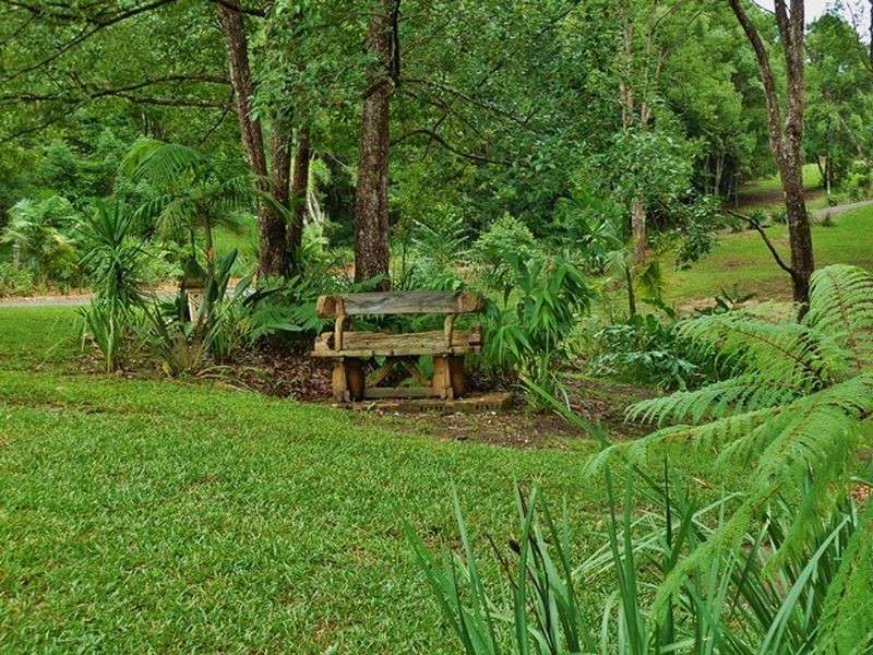 88 Gleniffer Road, Bellingen NSW 2454