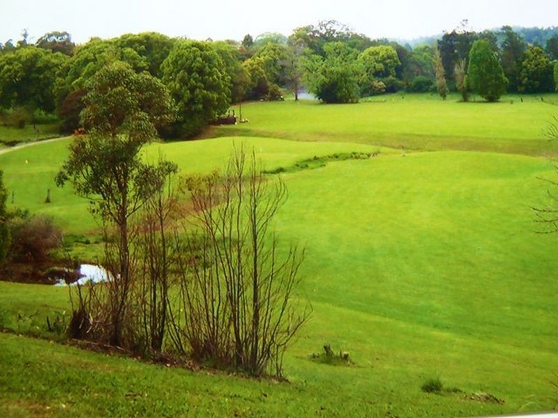 88 Gleniffer Road, Bellingen NSW 2454