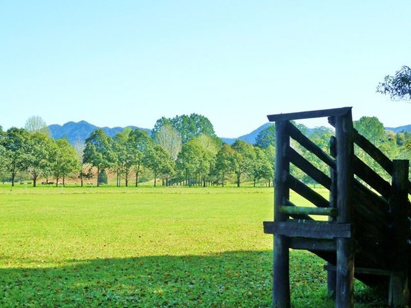 88 Gleniffer Road, Bellingen NSW 2454
