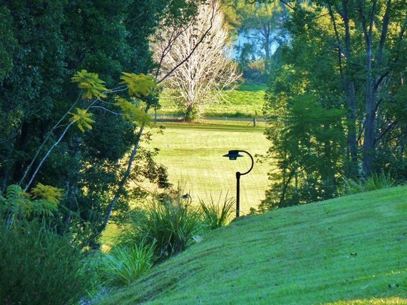 88 Gleniffer Road, Bellingen NSW 2454
