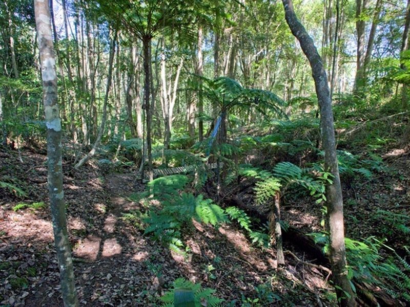88 Gleniffer Road, Bellingen NSW 2454