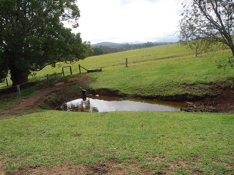 62 O’Dells Road, Warrell Creek NSW 2447