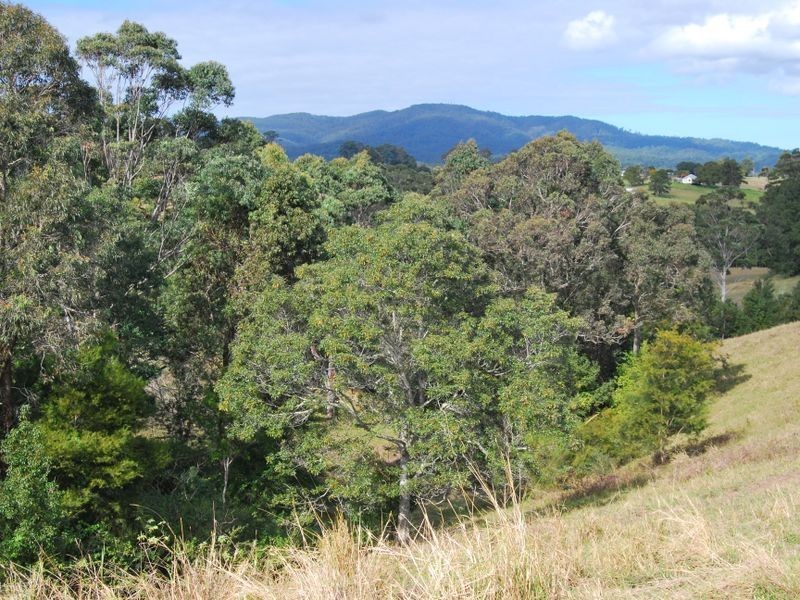 Lot 9 Strawberry Road, Warrell Creek NSW 2447