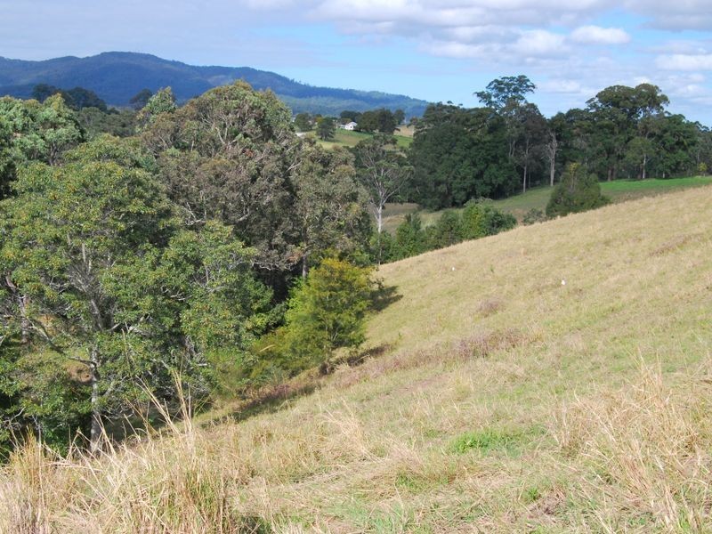 Lot 9 Strawberry Road, Warrell Creek NSW 2447