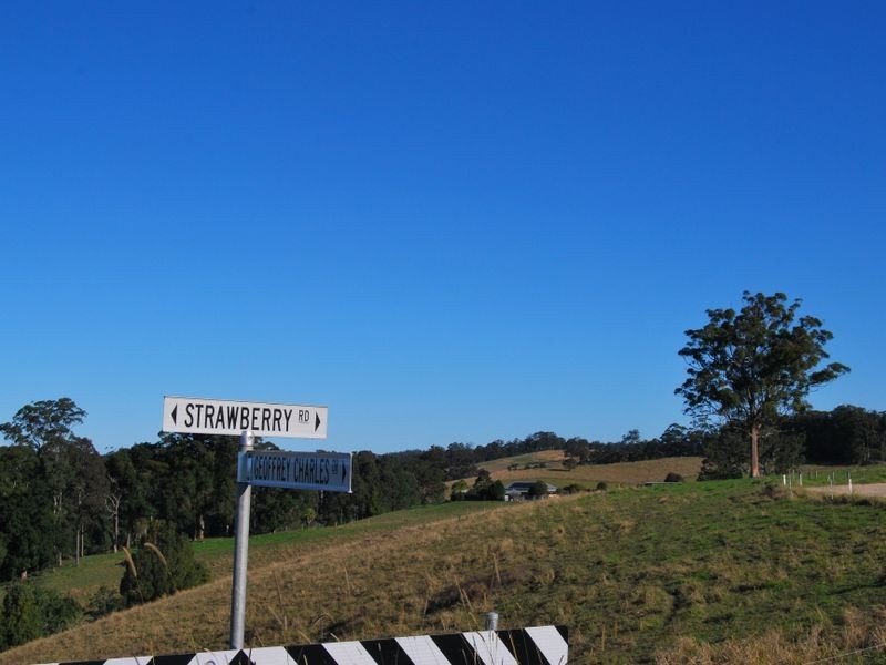 Lot 9 Strawberry Road, Warrell Creek NSW 2447