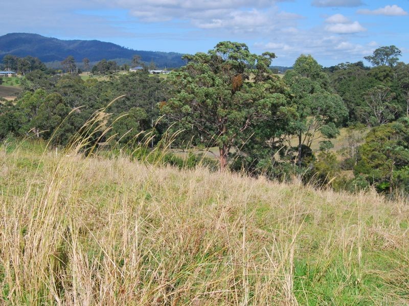 Lot 7 Strawberry Road, Warrell Creek NSW 2447