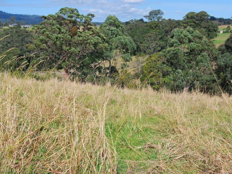 Lot 7 Strawberry Road, Warrell Creek NSW 2447