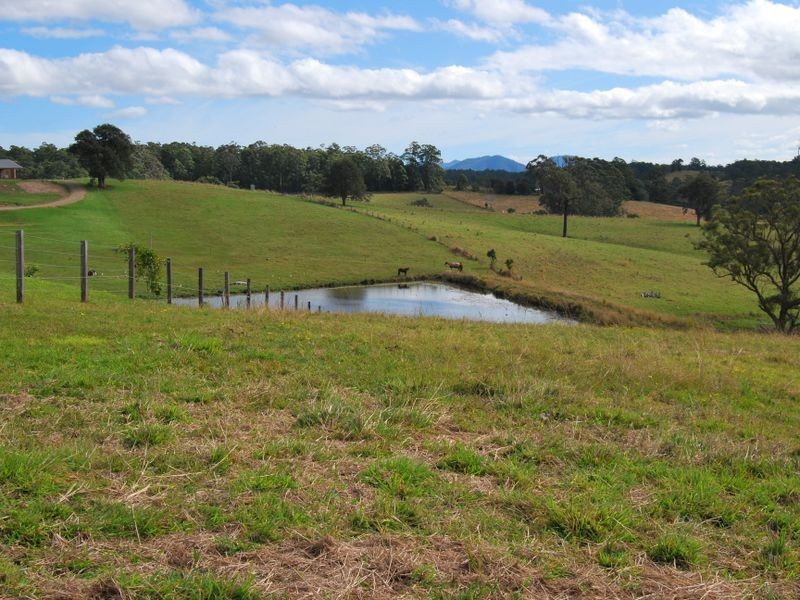 Lot 13 Strawberry Road, Warrell Creek NSW 2447