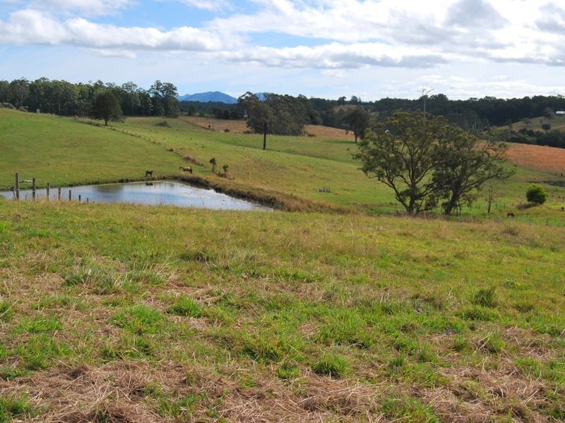 Lot 13 Strawberry Road, Warrell Creek NSW 2447
