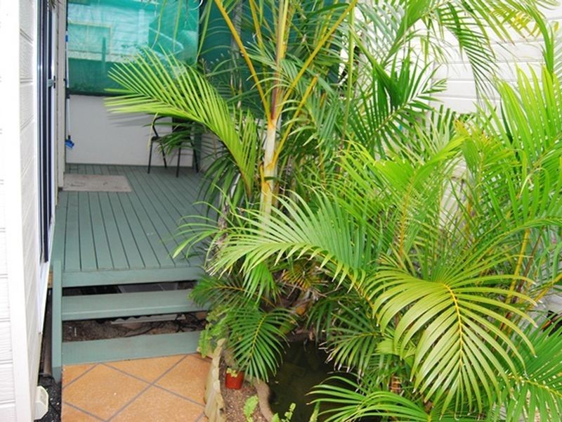 Y6 White Albatross Park, Nambucca Heads NSW 2448